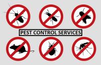 Mosquito Pest Control Brisbane image 6
